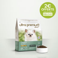 Croquettes sans céréales pour chaton en sac de 3 kg sur fond vert clair