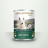 Boîte de pâtée pour chien sans céréales à l'agneau sur fond vert clair