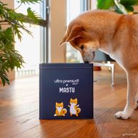 Shiba qui sent la box Ultra Premium Direct x Mastu