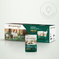 Graanvrije hond met kip op een lichtgroene ondergrond