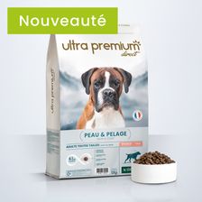 Gamelle remplie de croquettes peau et pelage pour chien adulte toutes tailles au saumon