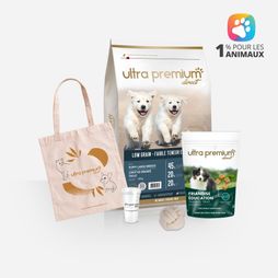 Kit de bienvenue pour chiot de grande taille sur fond blanc