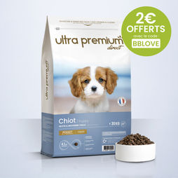 Croquettes Super Premium pour chiot de petite et moyenne taille en sac de 12 kg sur fond bleu clair