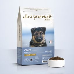 Croquettes Super Premium pour chiot de grande taille en sac de 12 kg sur fond bleu clair