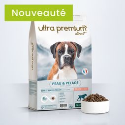 Paquet de croquettes peau et pelage avec la tête d'un boxer marron et une gamelle de croquettes devant le pack