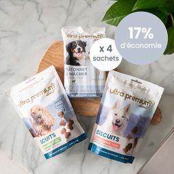 Kit plaisir grand chien +25kg sur une table