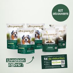 Kit découverte pour chien sur fond vert clair