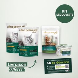 Kit découverte pour chat sur fond vert clair