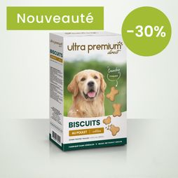 Boite de 400g de biscuits pour chien de 4cm en forme d'os sur fond vert