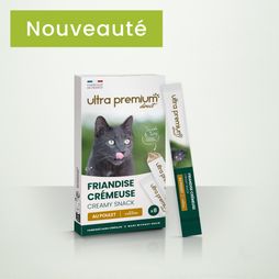 Boîte de friandises crémeuses pour chat liquide pour chat, sur fond vert