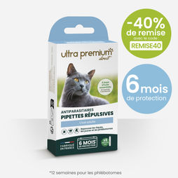 Pipettes répulsives antiparasitaires pour chat, sur fond blanc