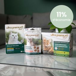 Kit plaisir pour chat, en intérieur