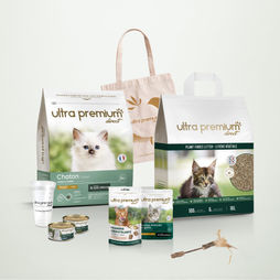 Kit de bienvenue pour chaton sur fond vert clair