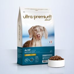 Croquettes Super Premium pour chien actif de toutes tailles en sac de 12 kg sur fond bleu clair