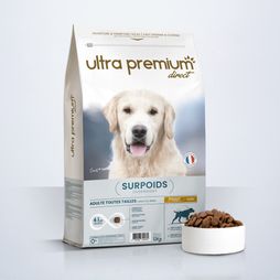 Croquettes Care pour chien adulte stérilisé / surpoids de toutes tailles en sac de 12 kg sur fond blanc