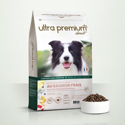 Croquettes sans céréales au saumon frais pour chien adulte de toutes tailles en sac de 12 kg sur fond blanc