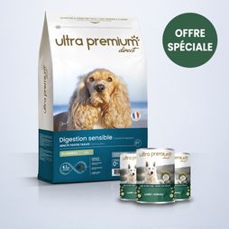 Pack bi-nutrition composé d'un sac de 12 kg de croquettes super premium agneau et riz pour chien adulte de toutes tailles, et de 24 boîtes de pâtées sans céréales à l'agneau sur fond bleu clair