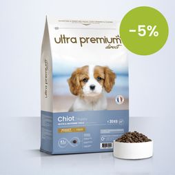 Super Premium Brokken voor kleine en middelgrote puppy's in een zak van 12 kg op een lichtblauwe achtergrond