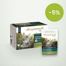 Gesneden graanvrije gelei voor kat met kip op een lichtgroene achtergrond