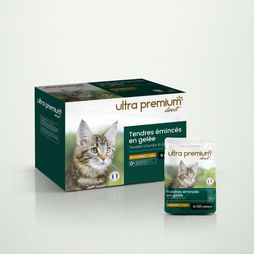 Gesneden graanvrije gelei voor kat met kip op een lichtgroene achtergrond