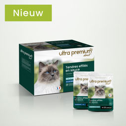 Verpakking en zakjes met malse stukjes in saus voor volwassen katten, tonijn, kabeljauw, binnenshuis