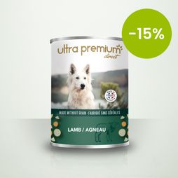 Met lam graanvrij hond op een lichtgroene achtergrond