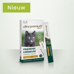 Doos met romige vloeibare kattensnoepjes op groene achtergrond