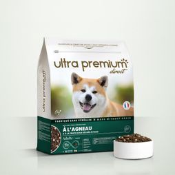 Rauwe graanvrije lams- en forelkroketten op groene bodem