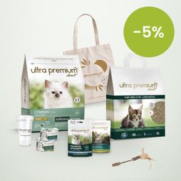 Kitten welkomstpakket op lichtgroene achtergrond