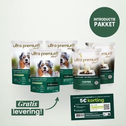 Ontdekkingspakket voor hond op een lichtgroene achtergrond