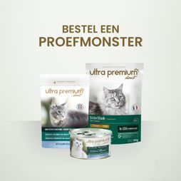 Visuele samples_cats.jpg