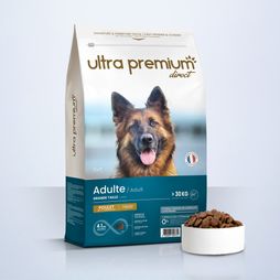 Croquettes Super Premium pour Chien de Grande Taille