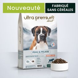 Paquet de croquettes peau et pelage avec la tête d'un boxer marron et une gamelle de croquettes devant le pack