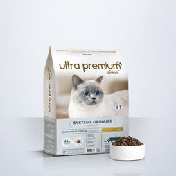 Croquettes Système urinaire pour Chat stérilisé - Care