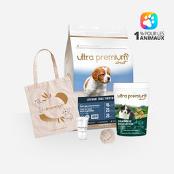 Kit de bienvenue pour chiot de petite et moyenne taille sur fond blanc