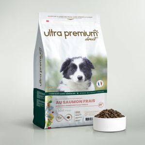 Croquettes sans céréales au saumon frais pour chiot de toutes tailles en sac de 12 kg
