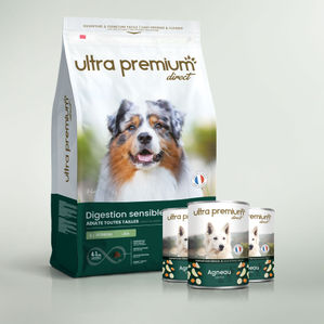 Dubbel voeding bestaande uit een zak graanvrije brokken van 12 kg voor hond met een gevoelige spijsvertering en 24 blikjes met lam, op een lichtgroene achtergrond