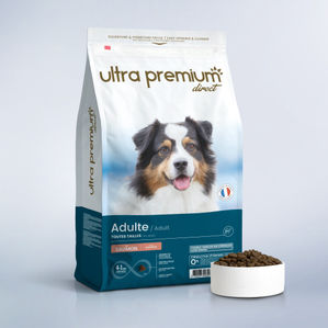 Super Premium zalm- en Brokken voor volwassen hond van alle groottes in een zak van 12 kg op een lichtblauwe achtergrond