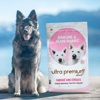 Chien assis à côté d'un sac de croquettes édition collector Simone et Jean-Marc