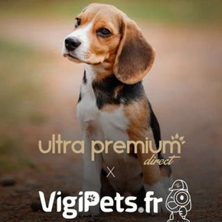 VigiPets