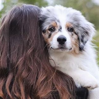 Une femme, dos à la caméra, porte un chien regardant l'objectif