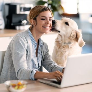 Femme télétravaillant avec son chien