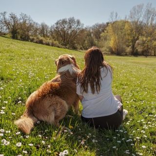 berger australien assis avec sa maîtresse dans un pré