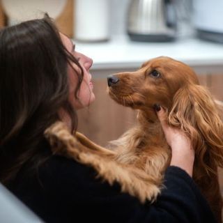 cocker anglais et sa maîtresse