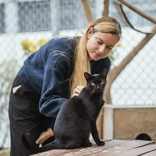 staff Ultra Premium Direct chat noir refuge