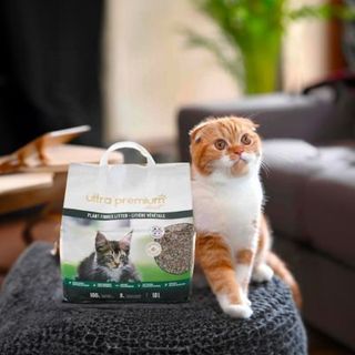 chat roux et blanc à côté de son sac de litière végétale