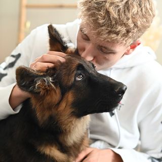 Maître avec son berger allemand
