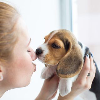 Maîtresse tenant son chien