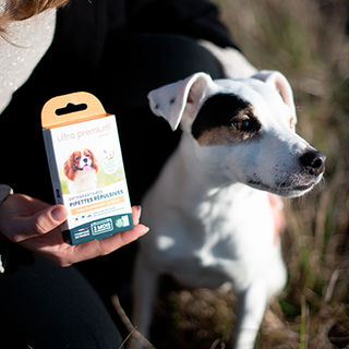 Antiparasitaire pour petit chien d'Ultra Premium Direct