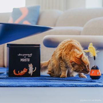 Coffret cadeau pour chat Ultra Premium Direct x Mastu